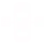 wheel alignment white
